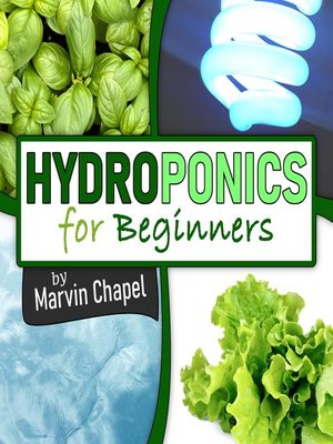 cover image of Hydroponics for Beginners